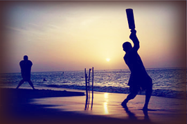 Beach Cricket 1